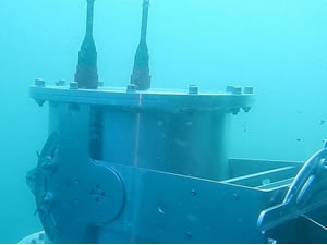 Su altı güvenliği milli dalgıç tespit sonarına emanet