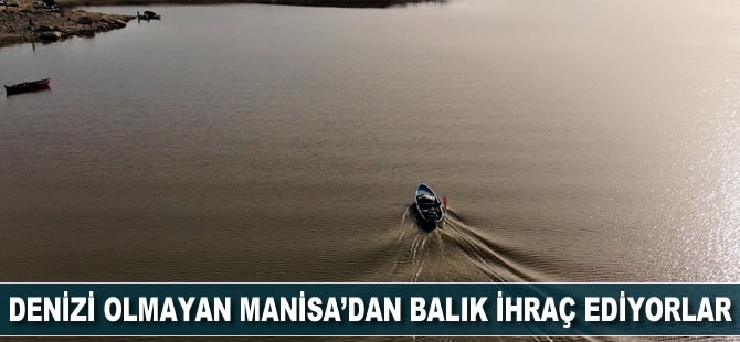Denizi olmayan Manisa’dan balık ihraç ediyorlar