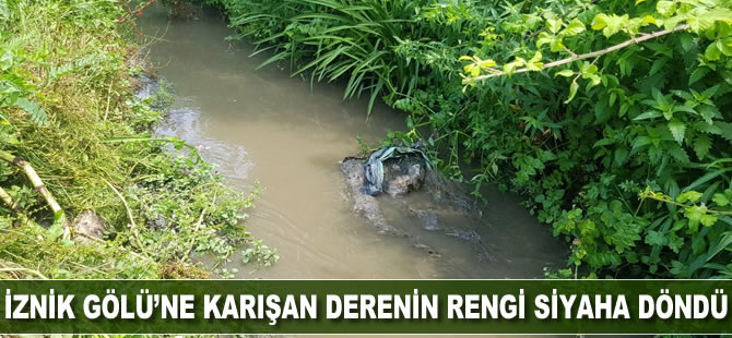 İznik Gölü'ne karışan derenin rengi siyaha döndü