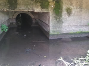 İznik Gölü'ne karışan derenin rengi siyaha döndü