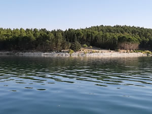 Tekneler ile taşınan eşekler adanın tek sahibi