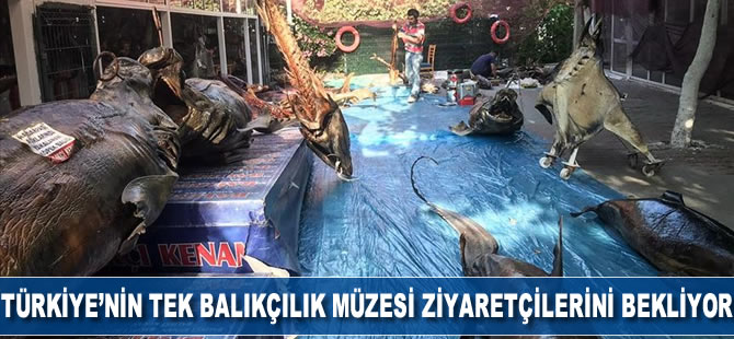 Türkiye'nin tek balıkçılık müzesi ziyaretçilerini bekliyor