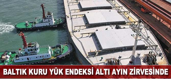 Baltık Kuru Yük Endeksi altı ayın zirvesinde