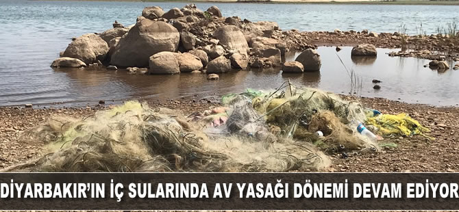 Diyarbakır'ın iç sularında av yasağı dönemi devam ediyor