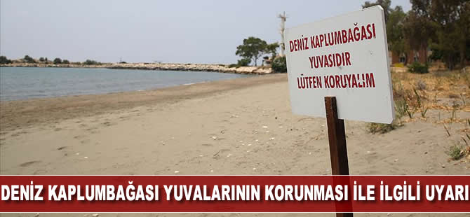 Deniz kaplumbağalarının rahatsız edilmemesi ve evde beslenmemesi uyarısı