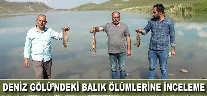 Deniz Gölü'ndeki balık ölümlerine inceleme