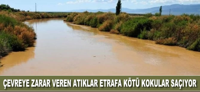 Çevreye zarar veren atıklar etrafa kötü kokular saçıyor