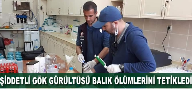 Şiddetli gök gürültüsü balık ölümlerini tetikledi