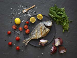 Balıklar oltaya değil, objektiflere takıldı