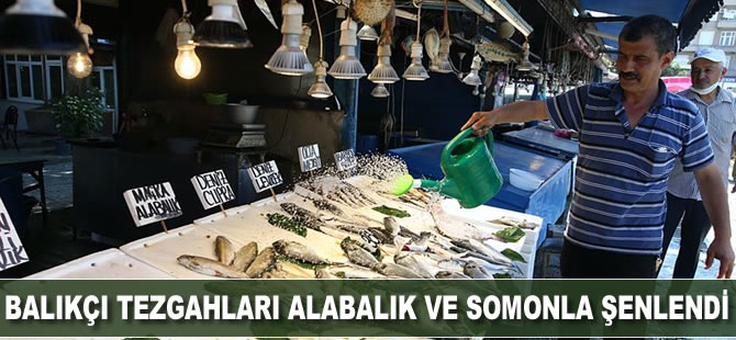 Balıkçıların tezgahları alabalık ve somonla şenlendi
