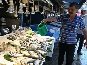 Balıkçıların tezgahları alabalık ve somonla şenlendi
