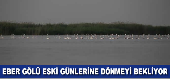 Eber Gölü eski günlerine dönmeyi bekliyor