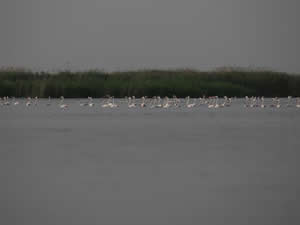 Eber Gölü eski günlerine dönmeyi bekliyor