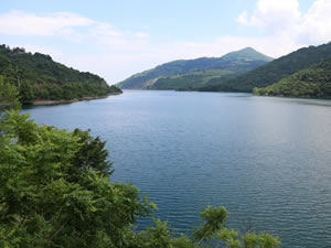 Kocaeli’de etkili olan yoğun yağışlar barajları doldurdu