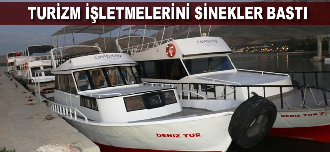 Turizm işletmelerini sinekler istila etti
