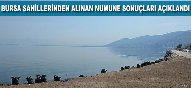 Bursa sahillerinde alınan ilk tur numune sonuçları açıklandı