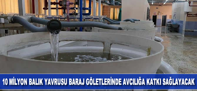 Şanlıurfa'da yetiştirilen 10 milyon balık yavrusu baraj göletlerindeki avcılığa katkı sunacak