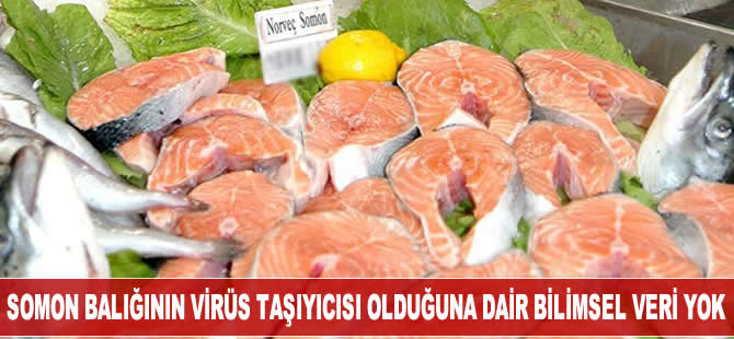 Prof. Dr. Tanrıkul: Somon balığının Kovid-19 taşıyıcısı olduğuna dair bilimsel kanıt yok