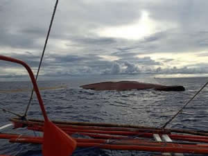 Hong kong bayraklı kargo gemisi ile balıkçı teknesi çarpıştı, 14 kişi kayıp