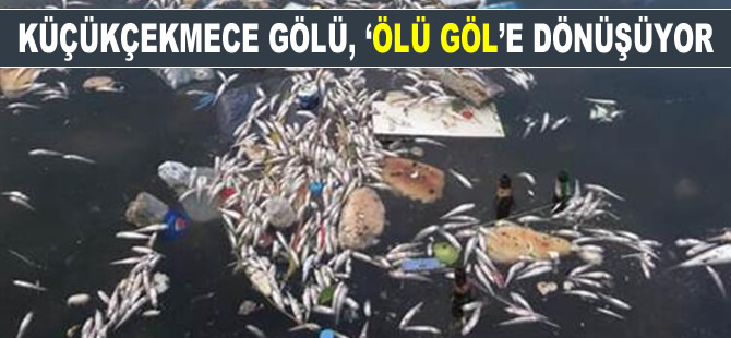 Küçükçekmece Gölü, 'ÖLÜ GÖL'E dönüşüyor!
