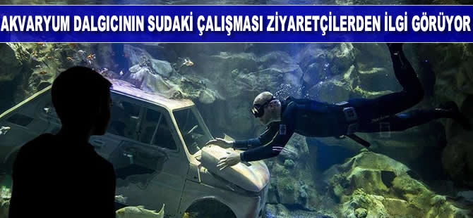 Başkentin akvaryum dalgıcının sudaki çalışması ziyaretçilerden ilgi görüyor
