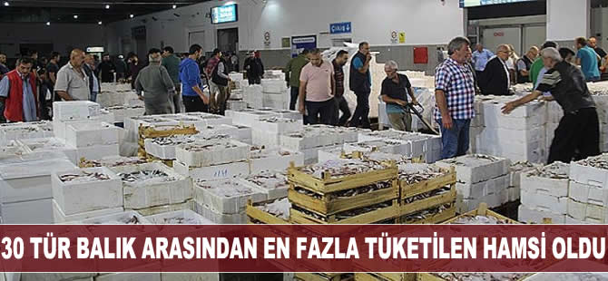 30 tür balık arasından en fazla tüketilen hamsi oldu