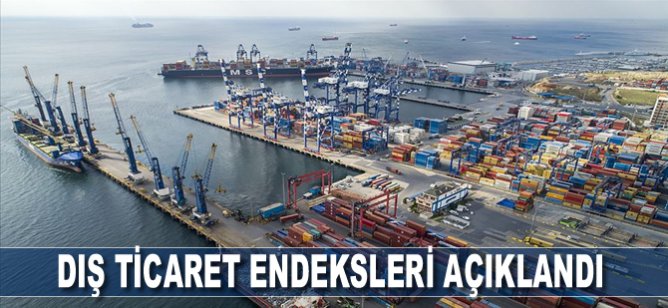 TÜİK, Mayıs ayı dış ticaret endekslerini açıkladı