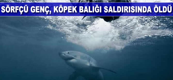 Avustralya'da sörfçü genç, köpek balığı saldırısında öldü