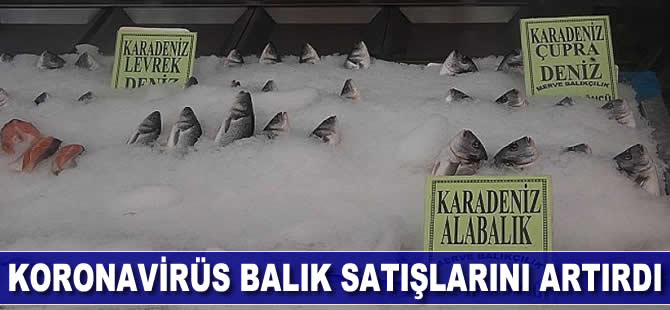 Koronavirüs balık satışlarını artırdı