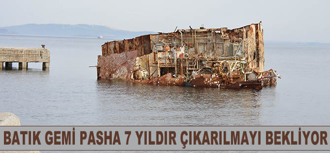 Batık gemi Pasha 7 yıldır çıkarılmayı bekliyor