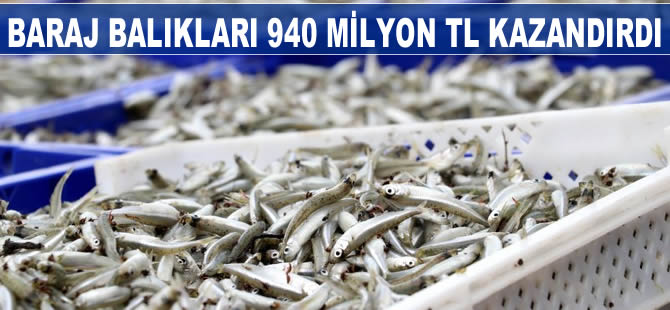 Baraj balıkları 940 milyon lira kazandırdı
