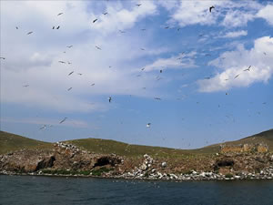 Türkiye'nin zirvesindeki Balık Gölü doğal yapısı korunarak turizme kazandırılacak