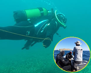 İzmir İtfaiyesi’nin dalgıçları Sarp'ı arıyor