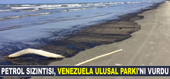 Petrol sızıntısı, Venezuela Ulusal Parkı’nı vurdu