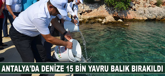 Kaş’ta denize 15 bin yavru balık bırakıldı