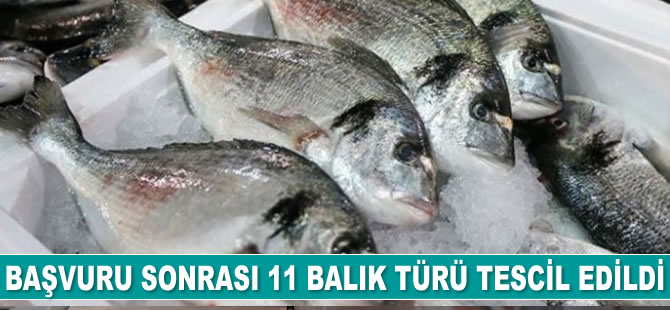 11 balık türü tescil edildi