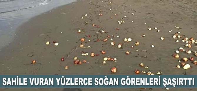 Adana’da yüzlerce soğan sahile vurdu