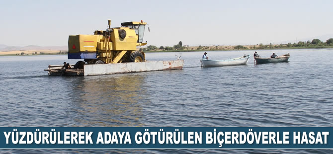 Beyşehir Gölü'nde yüzdürülerek adaya götürülen biçerdöverle hasat yapılıyor