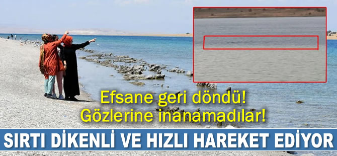 Van Gölü canavarı efsanesi geri döndü