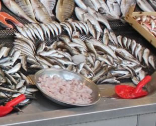 Balıkhan’da esnaf Eylül ayını bekliyor