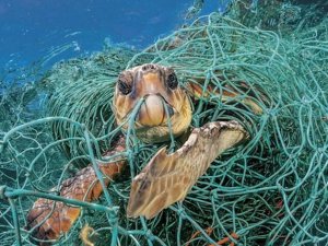 Çevre ve Şehircilik Bakanı Murat Kurum, denizler için seferberlik çağrısı yaptı