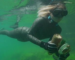 Denizlerdeki kirliliğe ve geri dönüşümün önemine dikkat çekildi