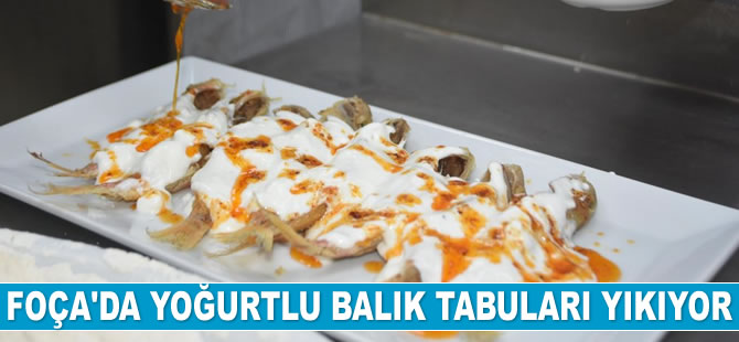 Foça’da yoğurtlu balık tabuları yıkıyor