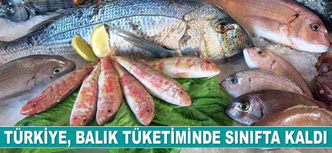 Balık tüketiminde sınıfta kaldık