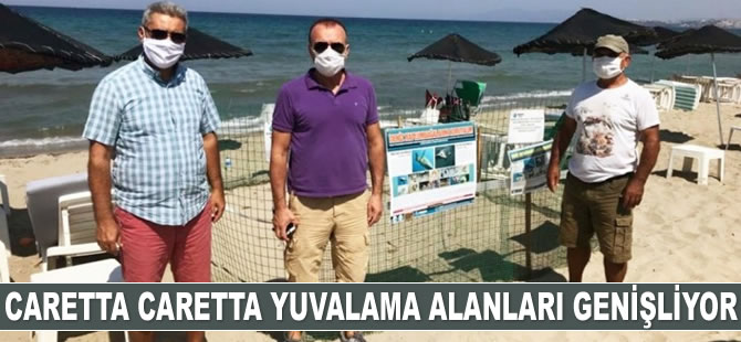 Caretta yuvalama alanları genişliyor