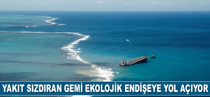 Morityus'ta yakıt sızdıran gemi ekolojik endişeye yol açıyor