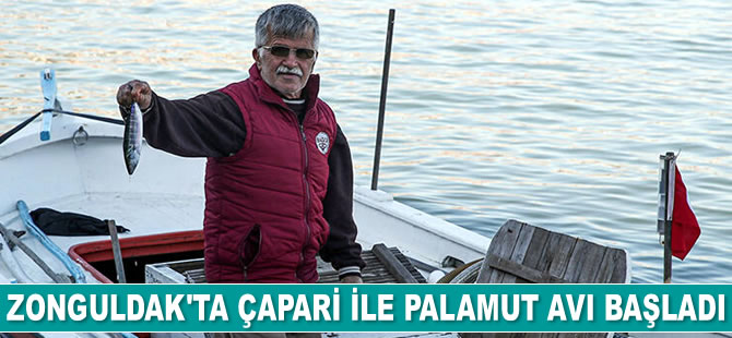 Zonguldak'ta çapari ile palamut avı başladı