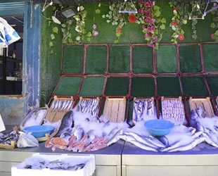 Balıkçılar yeni sezonu heyecanla bekliyor