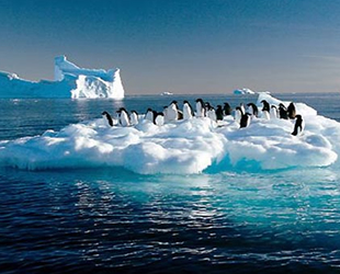 Temmuz ayı, Kuzey Yarımküre'de 'en sıcak ay' olarak kayıtlara geçti