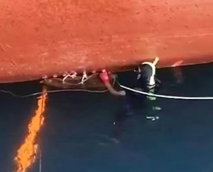 Zonguldak'ta Kolombiya bayraklı gemide kokain ele geçirildi